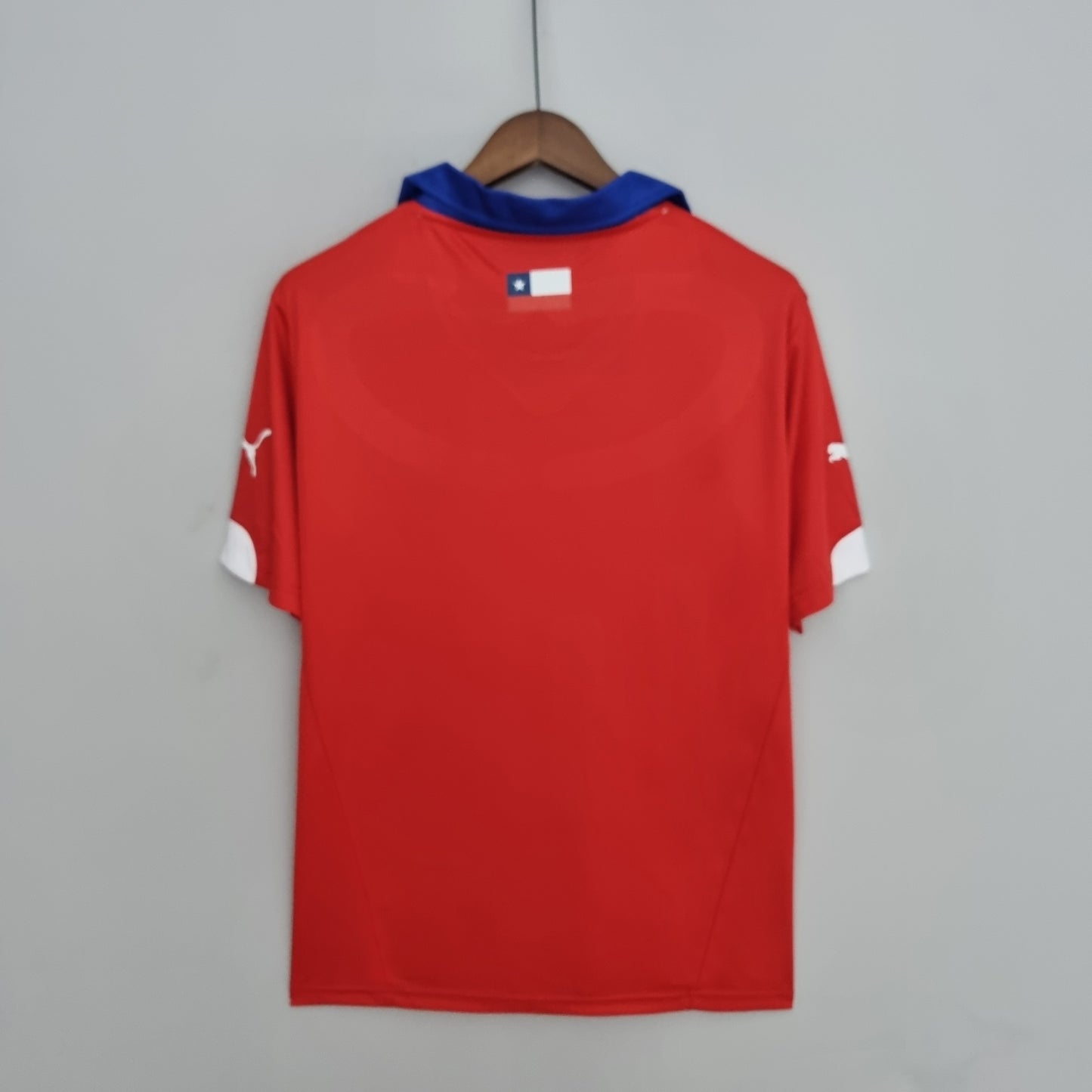 1ª Chile 2014