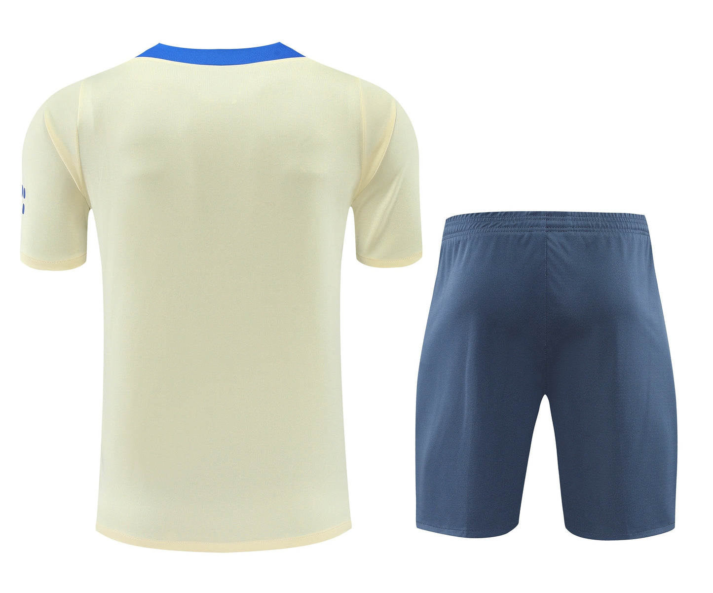 Kit entrenamiento Inter de Milán 24/25