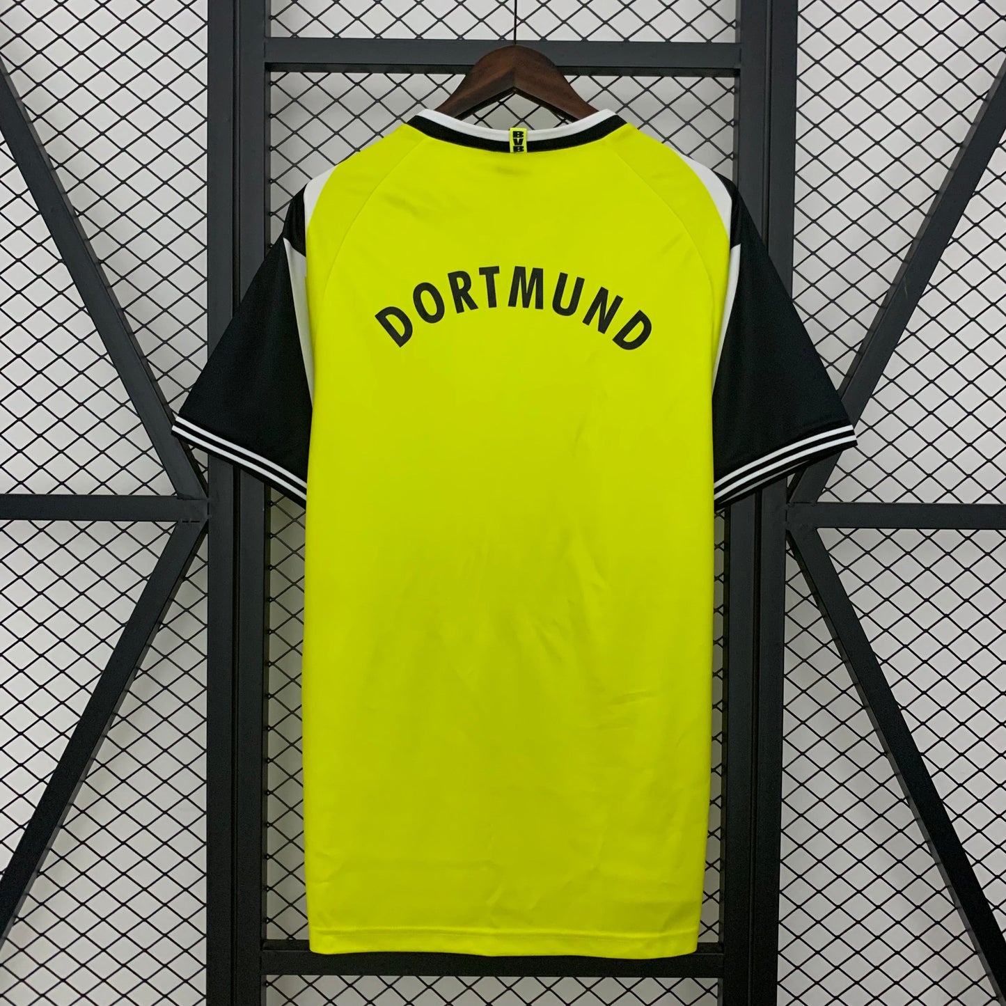 1ª Borussia Dortmund 95/96