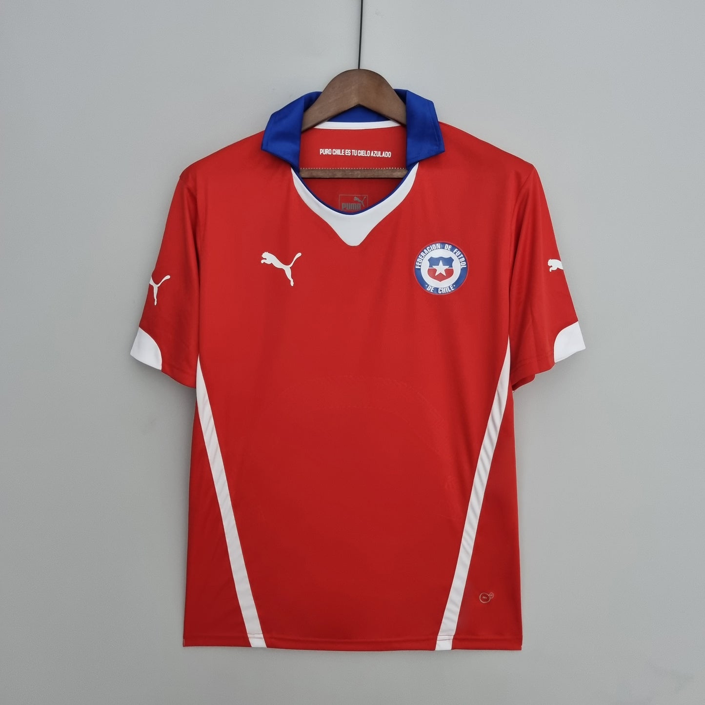 1ª Chile 2014