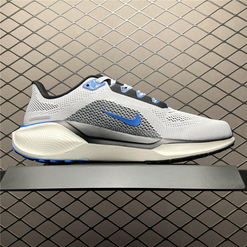 Nike Air Zoom Pegasus 41 HV5218-100