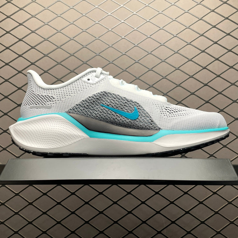 Nike Air Zoom pegasus 41 FD2722-103