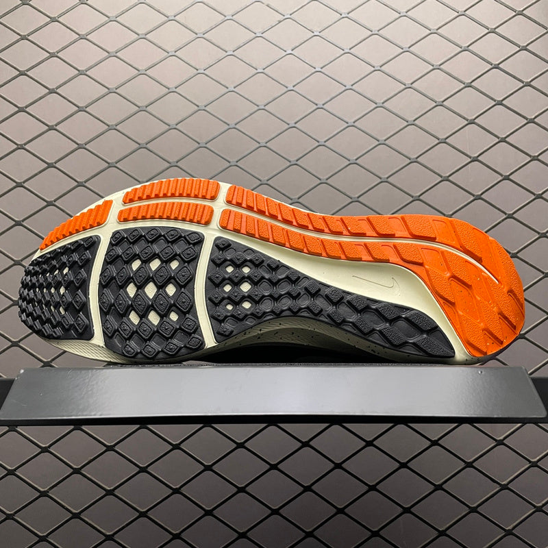 Nike Zoom Pegasus 39 DX6039-071