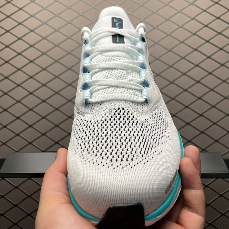 Nike Air Zoom pegasus 41 FD2722-103