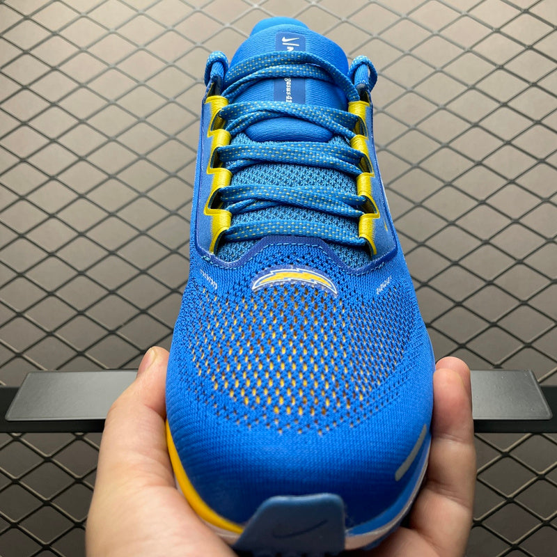 Nike Air Zoom pegasus 41 FZ5078-400