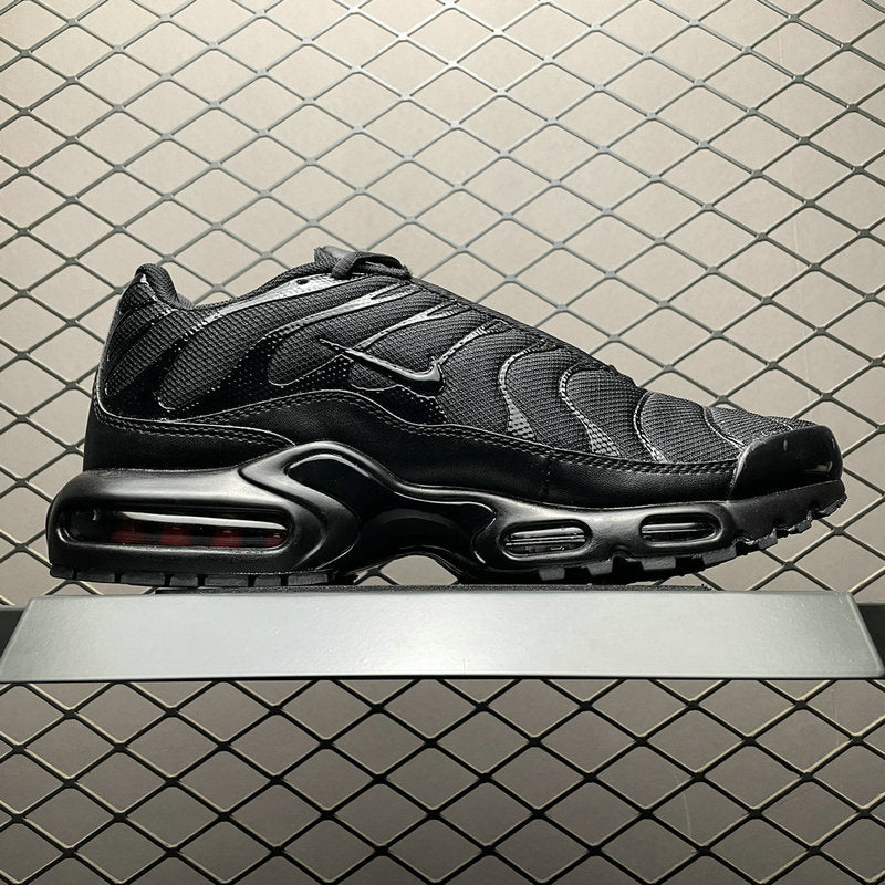 Nike Air Max PLUS 604133-050