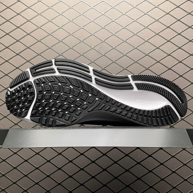 Nike Zoom Pegasus 38DJ0958-991