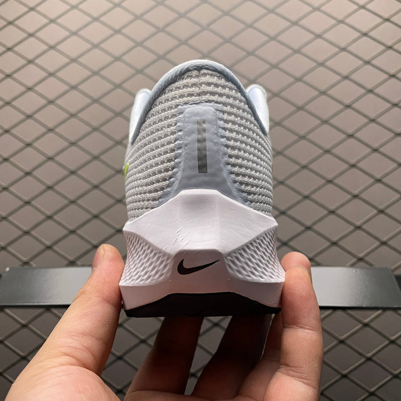 Nike Air Zoom Pegasus 40 DV3854-102