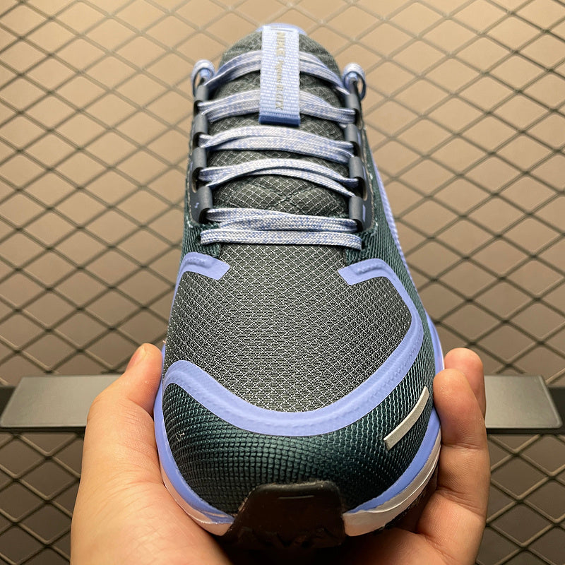 Nike Air Zoom Pegasus 41 FQ1357-400