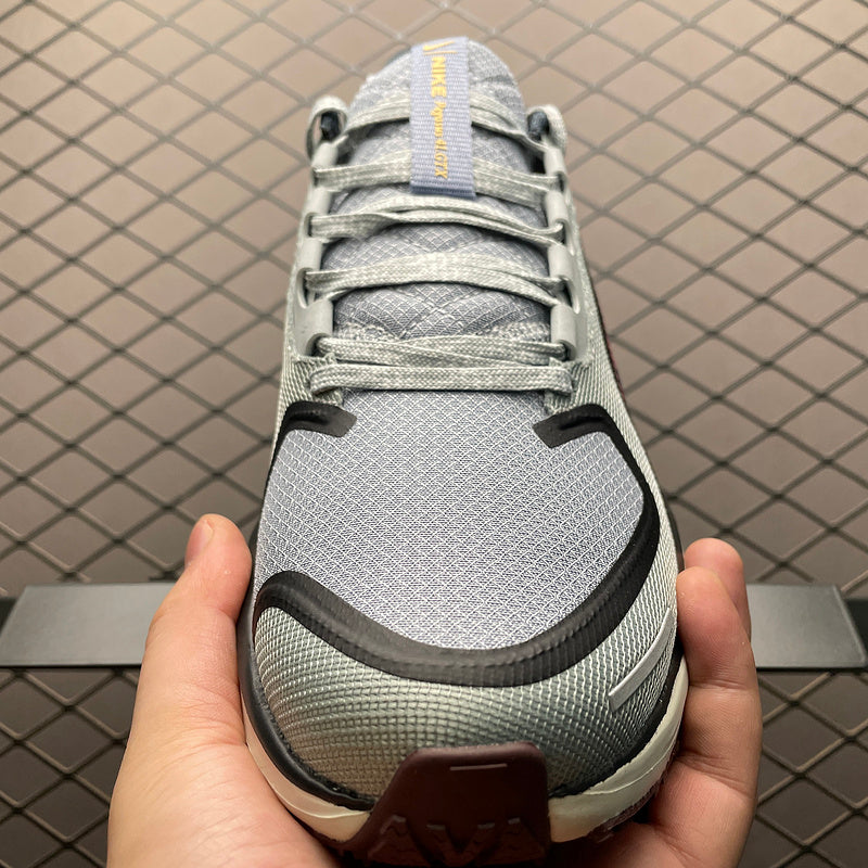 Nike Air Zoom Pegasus 41 FQ1356-003
