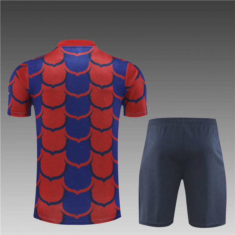 Kit entrenamiento FC Barcelona 24/25