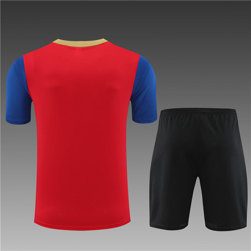 Kit entrenamiento FC Barcelona 24/25