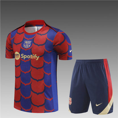 Kit entrenamiento FC Barcelona 24/25