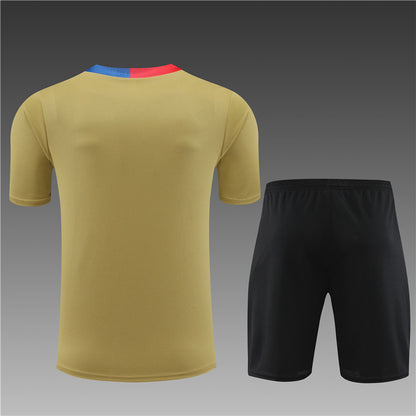 Kit entrenamiento FC Barcelona 24/25