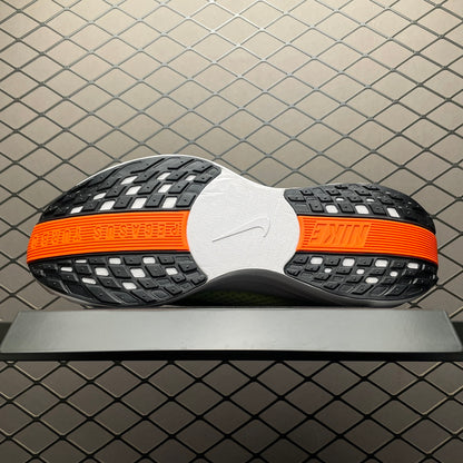 Nike Pegasus Plus FQ7261-400