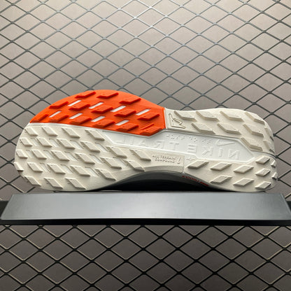 Nike Peactx Pegasus Trail 5 DV3864-003