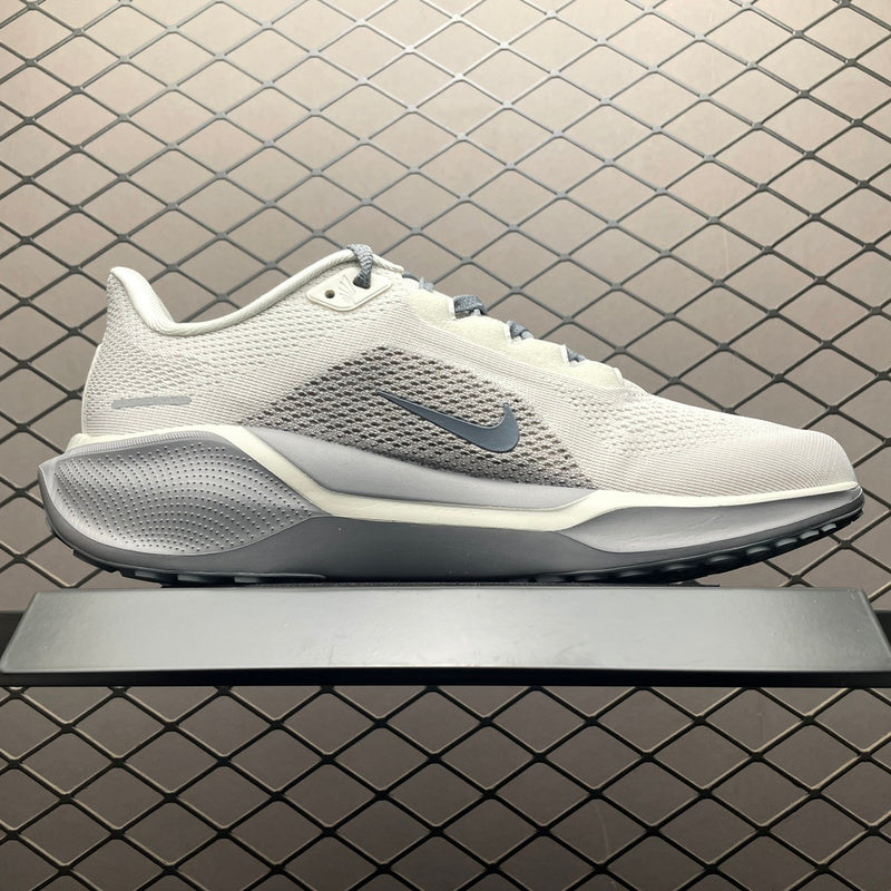 Nike Air Zoom Pegasus 41 FV9530-600