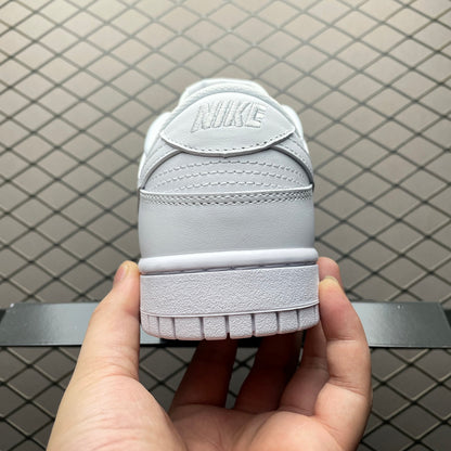 Nike Dunk Low DD1503-109