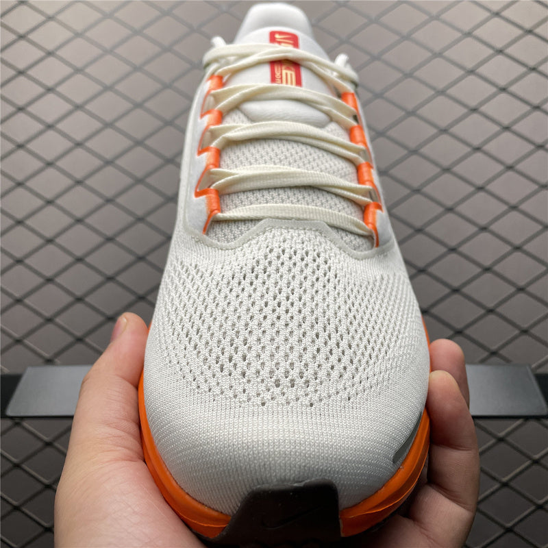 Nike Air Zoom Pegasus 41 HV5975-102