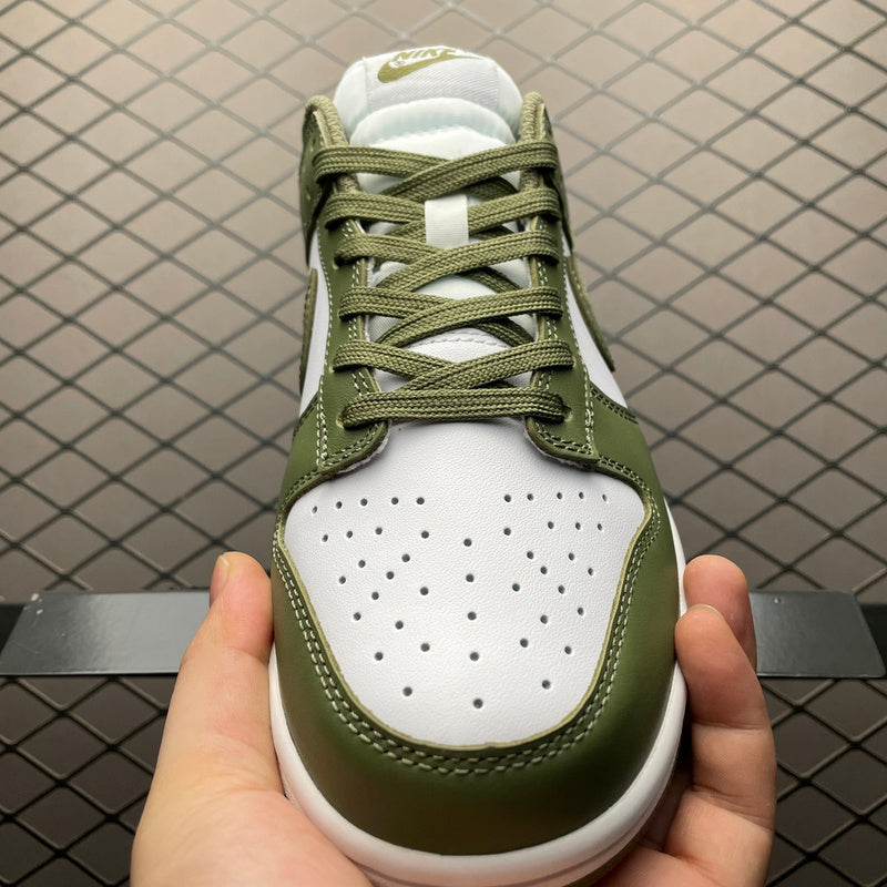 Nike Dunk Low DD1503-120