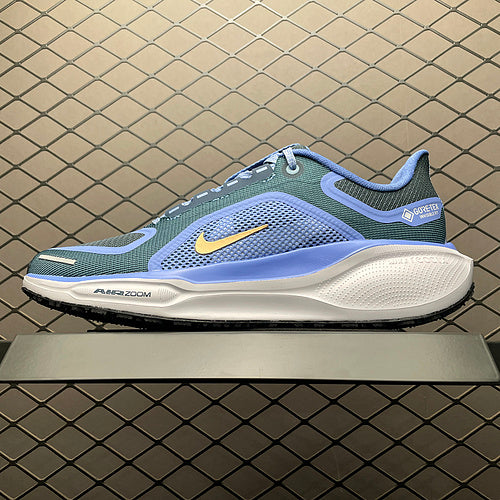 Nike Air Zoom Pegasus 41 FQ1357-400