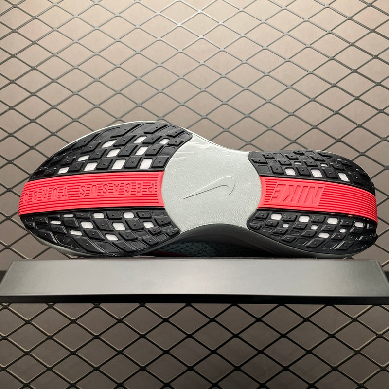 Nike Pegasus Plus FQ7262-001
