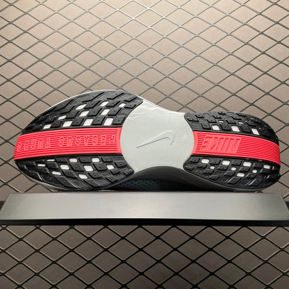 Nike Pegasus Plus FQ7262-001