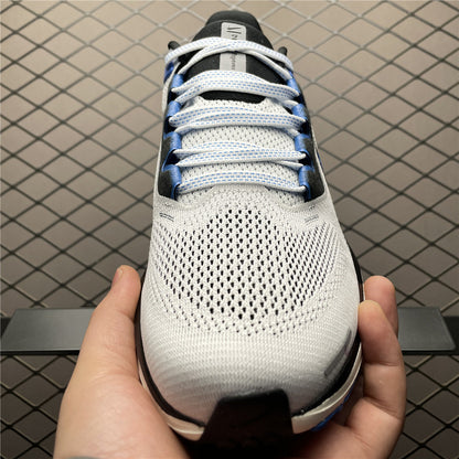 Nike Air Zoom Pegasus 41 HV5218-100