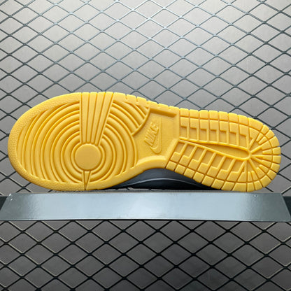Nike Dunk Low FV0389-100