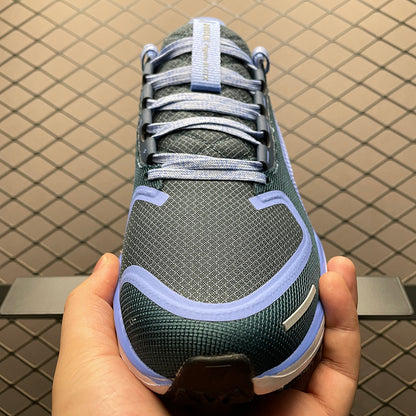 Nike Air Zoom Pegasus 41 FQ1357-400