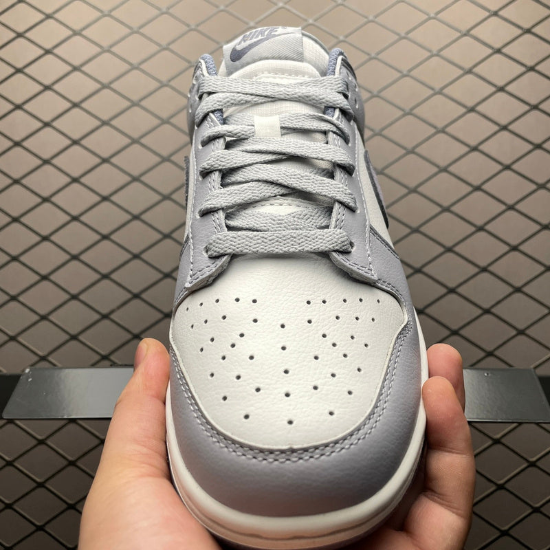 Nike Dunk Low FJ4188-100