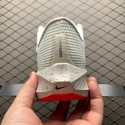 Nike Air Zoom Pegasus 40 DV7480-100