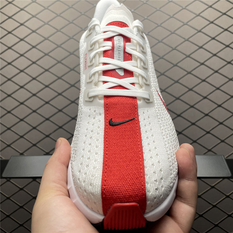 Nike Pegasus Plus FQ7262-003