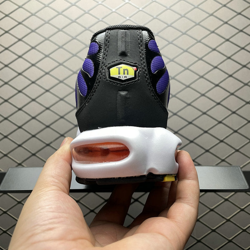 Nike Air Max PLUS DX0755-500