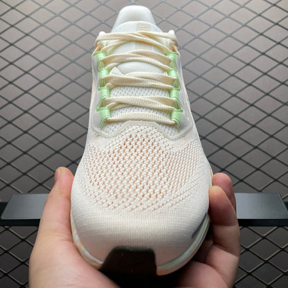 Nike Air Zoom pegasus 41 HM5539-133