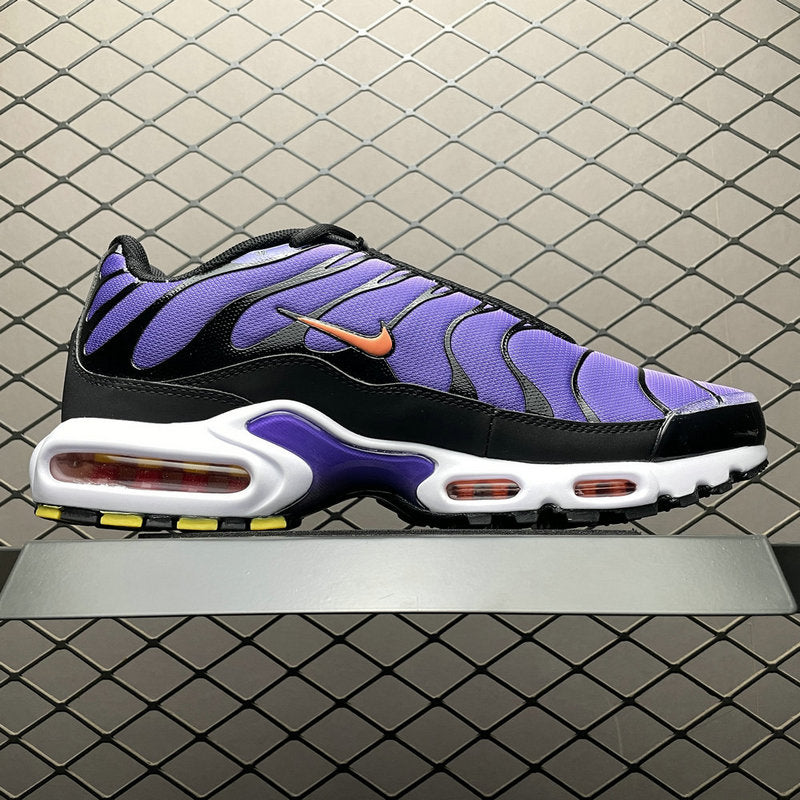Nike Air Max PLUS DX0755-500