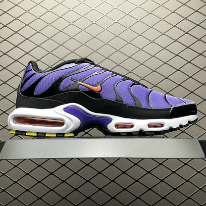 Nike Air Max PLUS DX0755-500