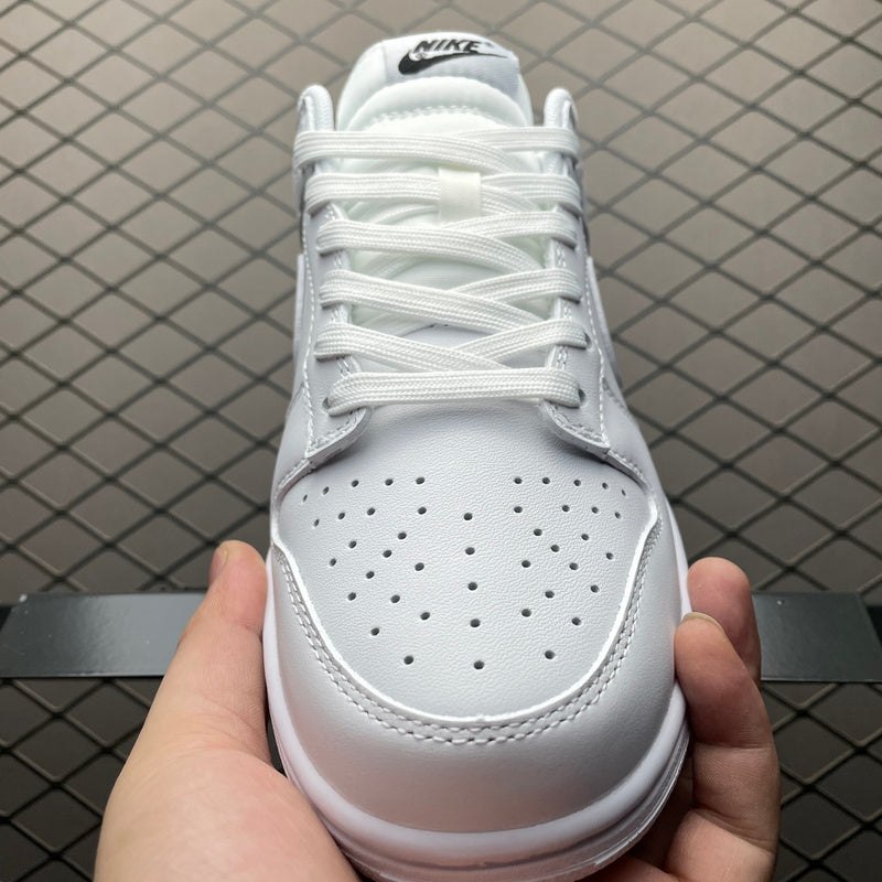 Nike Dunk Low DD1503-109