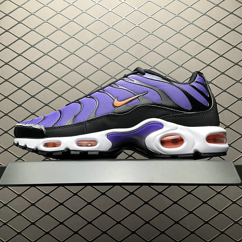 Nike Air Max PLUS DX0755-500