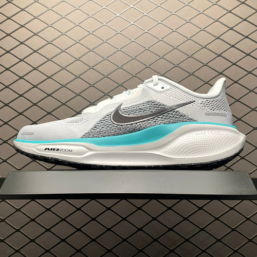Nike Air Zoom pegasus 41 FD2722-103