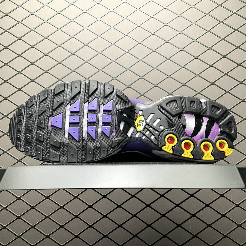 Nike Air Max PLUS DX0755-500
