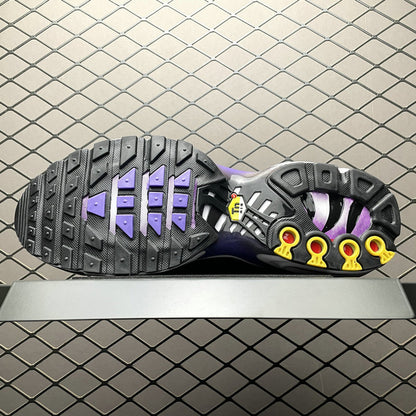 Nike Air Max PLUS DX0755-500