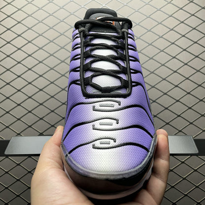 Nike Air Max PLUS DX0755-500