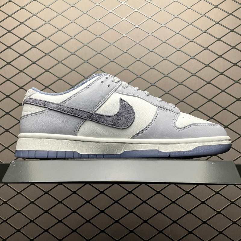 Nike Dunk Low FJ4188-100